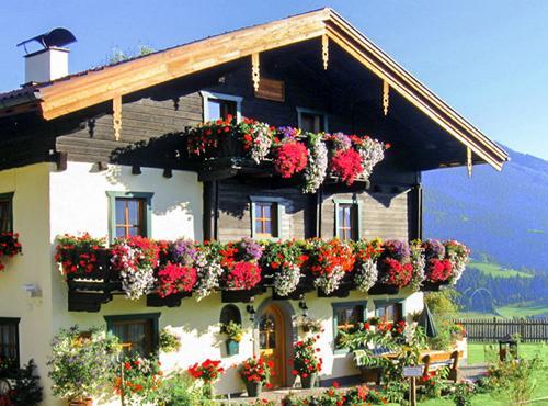 Brotzeitalm Pfarrwerfen Exterior foto